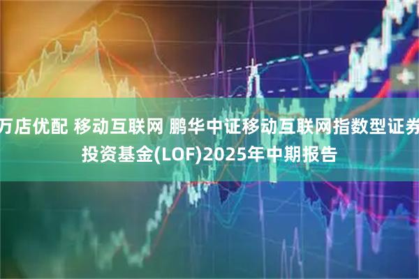 万店优配 移动互联网 鹏华中证移动互联网指数型证券投资基金(LOF)2025年中期报告