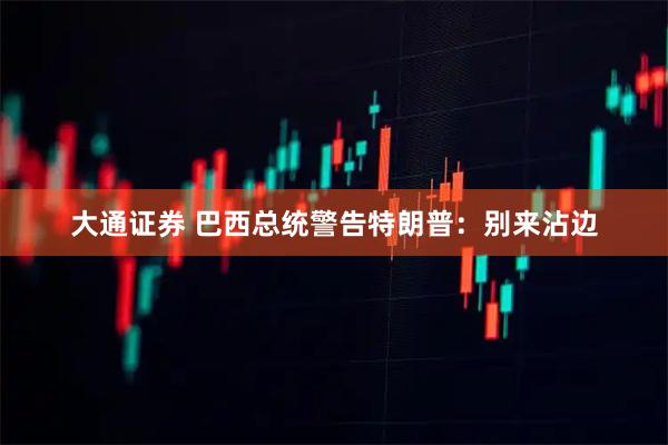 大通证券 巴西总统警告特朗普：别来沾边