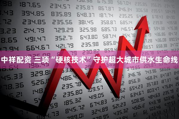 中祥配资 三项“硬核技术”守护超大城市供水生命线