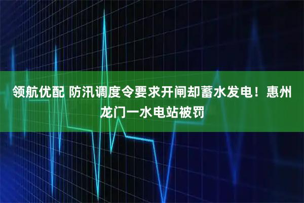 领航优配 防汛调度令要求开闸却蓄水发电！惠州龙门一水电站被罚